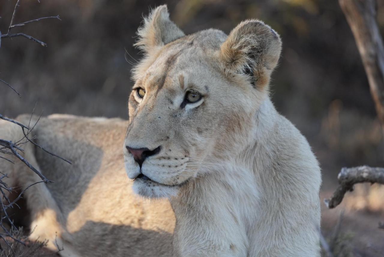 Mont Eco Game Reserve Montagu Exterior foto